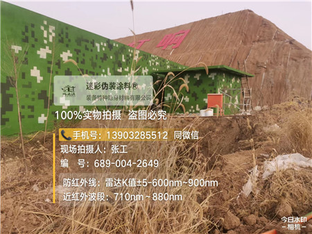 益阳星空迷彩墙施工队