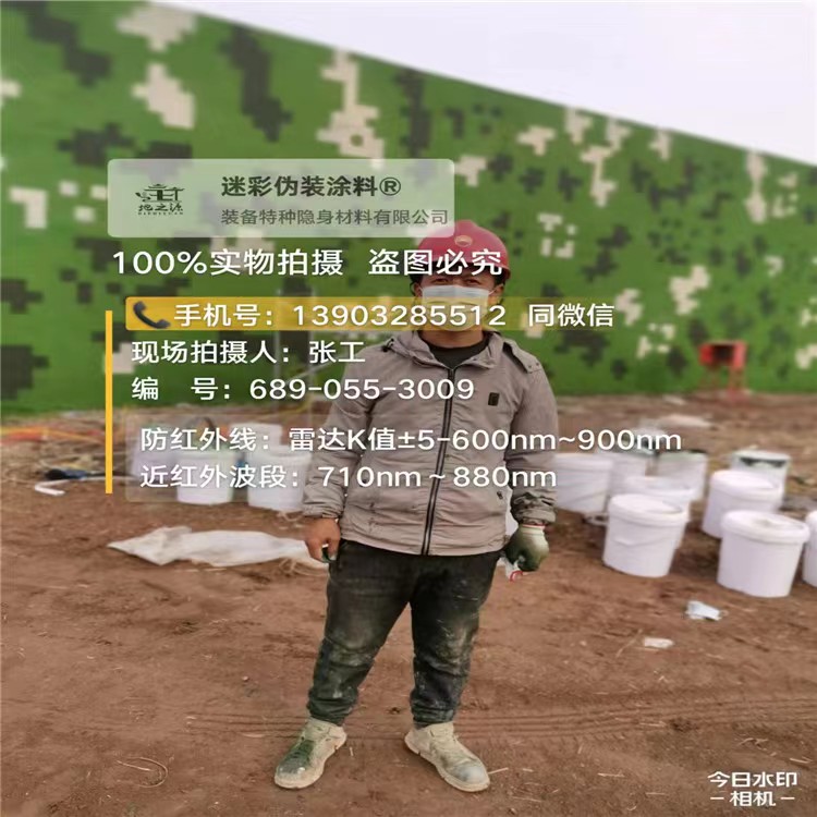 益阳数字迷彩喷涂,和数码迷彩墙有区别吗