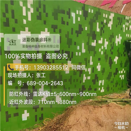 益阳星空迷彩漆，夏令营训练,数码迷彩作训墙,围墙