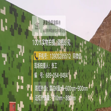 益阳专业承接园区围墙迷彩喷涂、